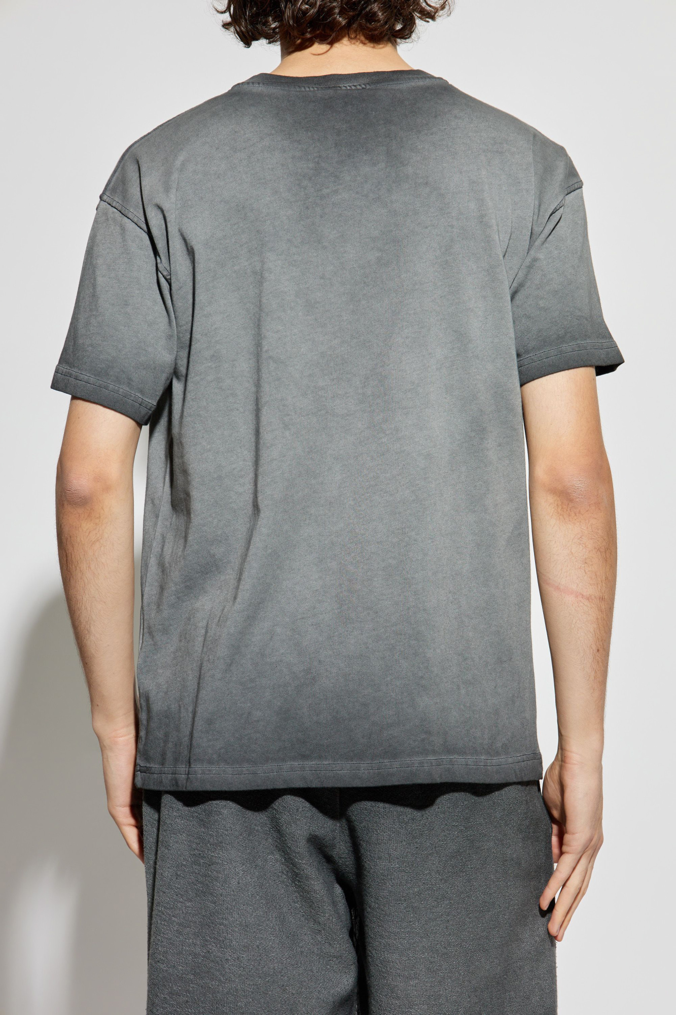 DIESEL t-norm-t9 T シャツ オーガニック コットン T-NORM-T9 T-shirt with phoenix devoré｜ブラウン｜メンズ｜DIESEL
